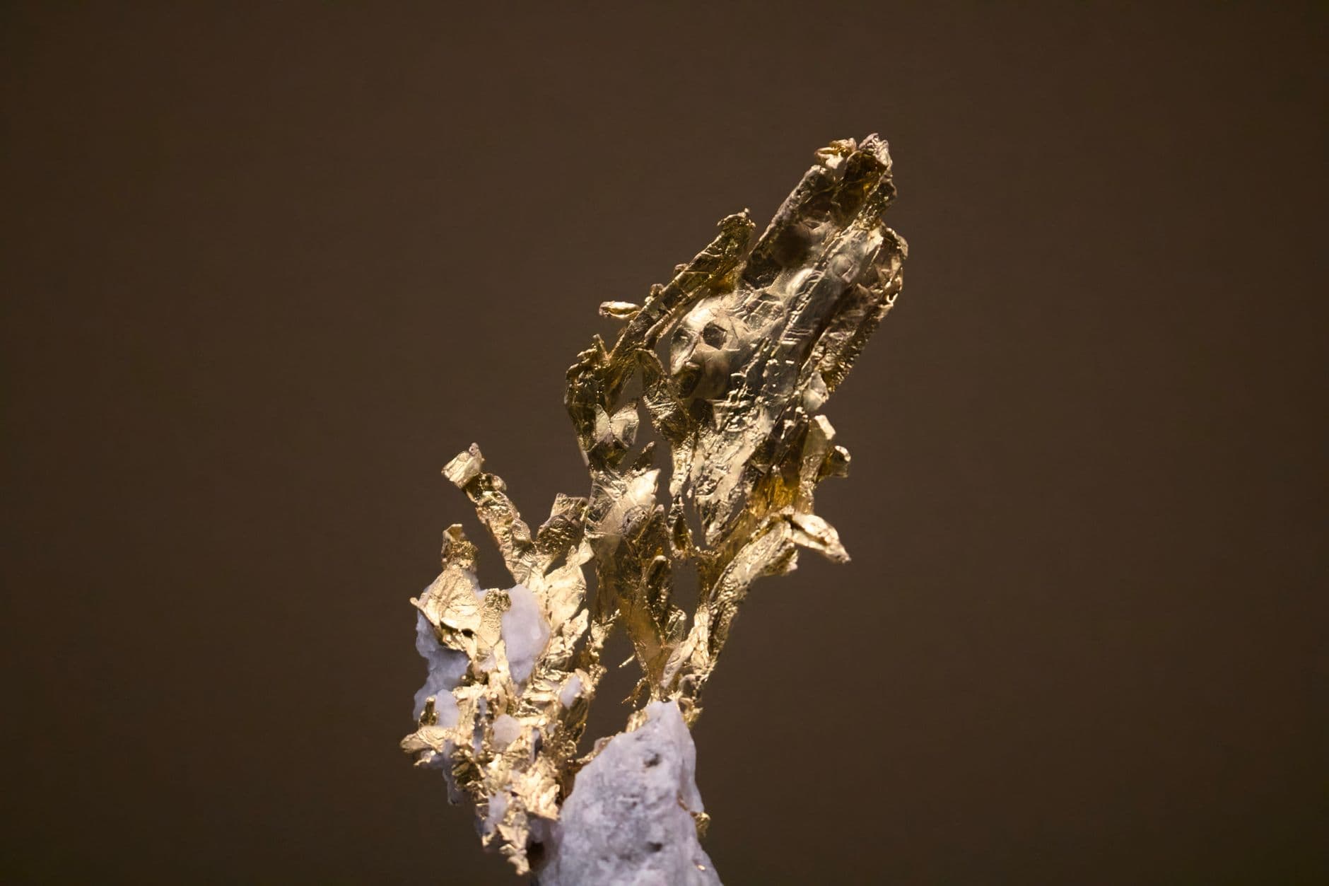 Gold-Textur Nahaufnahme